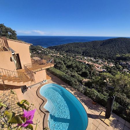 Villa Petale De Rose Cavalaire-sur-Mer Kültér fotó